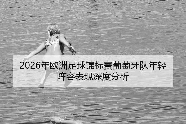 nian-ou-zhou-zu-qiu-jin-biao-sai-pu-tao-ya-dui-nian-qing-zhen-rong-biao-xian-shen-du-fen-xi-2-229.jpg