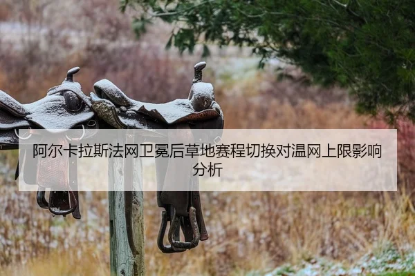 a-er-ka-la-si-fa-wang-wei-mian-hou-cao-di-sai-cheng-qie-huan-dui-wen-wang-shang-xian-ying-xiang-fen-xi-2-619.jpg