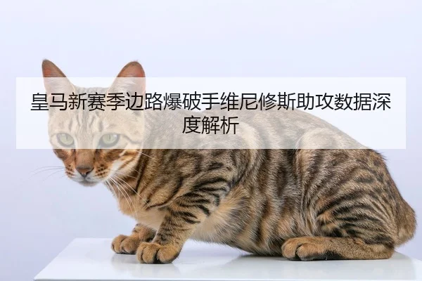 皇马新赛季边路爆破手维尼修斯助攻数据深度解析