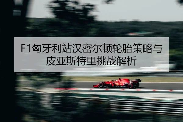 xiong-ya-li-zhan-han-mi-er-dun-lun-tai-ce-lve-yu-pi-ya-si-te-li-tiao-zhan-jie-xi-2-252.jpg
