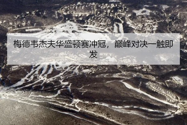 梅德韦杰夫华盛顿赛冲冠，巅峰对决一触即发