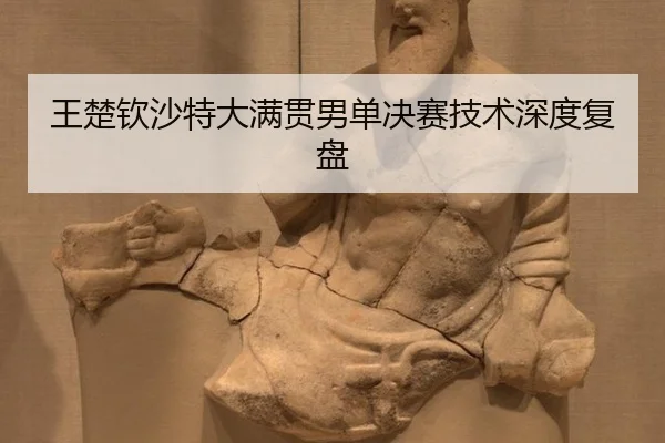 wang-chu-qin-sha-te-da-man-guan-nan-dan-jue-sai-ji-shu-shen-du-fu-pan-3-572.jpg