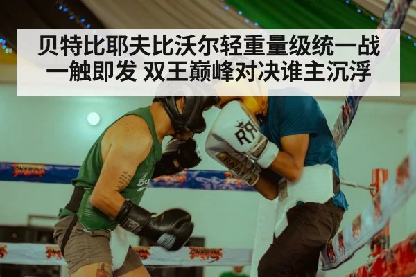 贝特比耶夫比沃尔轻重量级统一战一触即发 双王巅峰对决谁主沉浮